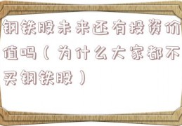 钢铁股未来还有投资价值吗（为什么大家都不买钢铁股）