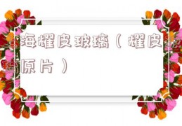 上海耀皮玻璃（耀皮玻璃原片）