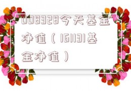 008328今天基金净值（161131基金净值）