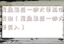尾盘最后一秒大单高价卖出（尾盘最后一秒大单买入）