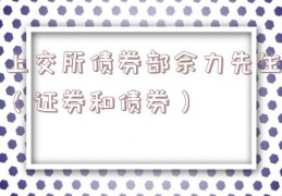 上交所债券部佘力先生（证券和债券）