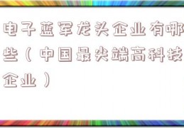 电子蓝军龙头企业有哪些（中国最尖端高科技企业）