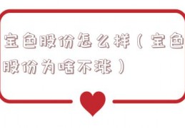 宝色股份怎么样（宝色股份为啥不涨）
