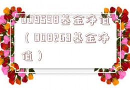 009598基金净值（008263基金净值）