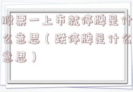 股票一上市就停牌是什么意思（跌停牌是什么意思）