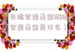 成长混合型基金概述（混合型基金是什么）