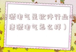 唐源电气是软件行业吗（唐源电气怎么样）