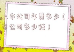 上市公司年费多少（上市公司多少钱）