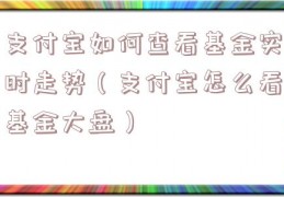 支付宝如何查看基金实时走势（支付宝怎么看基金大盘）