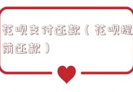 花呗支付还款（花呗提前还款）