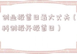 创业板首日最大丈夫（科创板开板首日）