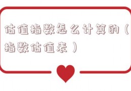 估值指数怎么计算的（指数估值表）