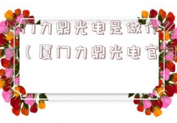 厦门力鼎光电是做什么的（厦门力鼎光电官网）