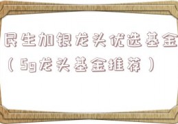 民生加银龙头优选基金（5g龙头基金推荐）