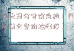 尾盘集合竞价急拉（尾盘集合竞价拉涨停）