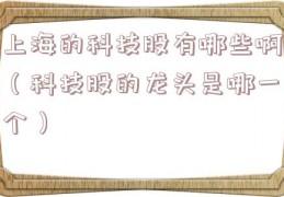 上海的科技股有哪些啊（科技股的龙头是哪一个）