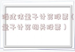 潘建伟量子计算股票（量子计算相关股票）