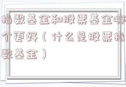 指数基金和股票基金哪个更好（什么是股票指数基金）