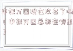 申银万国现在改名了吗（申银万国总部在哪里）
