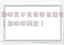 期权是不是很容易爆仓（期权权利金）