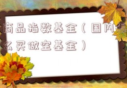 商品指数基金（国内怎么买做空基金）