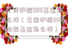 大成沪深300基金怎么样（富国沪深300指数基金怎么样）