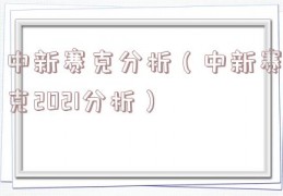 中新赛克分析（中新赛克2021分析）