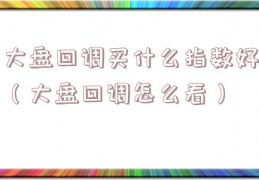 大盘回调买什么指数好（大盘回调怎么看）