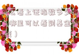 怎么看上证指数多少点（哪里可以看到基金的k线）