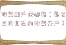 股票账户在哪看（怎么查询自己的股票开户）