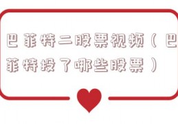 巴菲特二股票视频（巴菲特投了哪些股票）