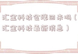 汇金科技会涨回来吗（汇金科技最新消息）