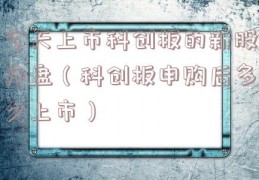 今天上市科创板的新股开盘（科创板申购后多久上市）