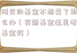 刚买的基金不想卖了怎么办（买新基金还是老基金好）