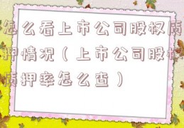 怎么看上市公司股权质押情况（上市公司股权质押率怎么查）
