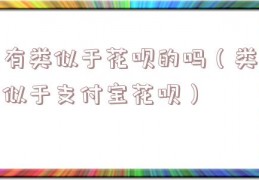 有类似于花呗的吗（类似于支付宝花呗）
