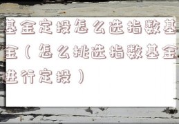 基金定投怎么选指数基金（怎么挑选指数基金进行定投）