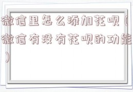 微信里怎么添加花呗（微信有没有花呗的功能）
