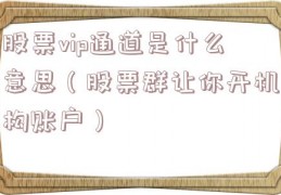 股票vip通道是什么意思（股票群让你开机构账户）