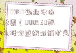 000960锡业股份股票（000960锡业股份重组最新消息）