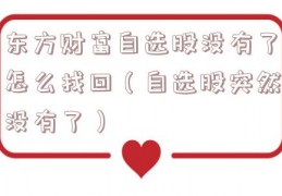 东方财富自选股没有了怎么找回（自选股突然没有了）