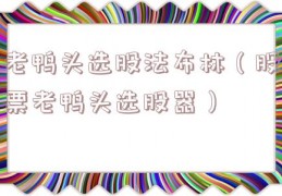 老鸭头选股法布林（股票老鸭头选股器）