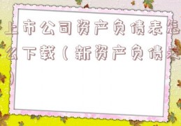 上市公司资产负债表怎么下载（新资产负债表）