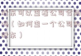 股东可以查看公司合同吗（如何查一个公司的股东）