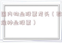 国内物业股票龙头（敦煌种业股票）