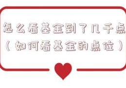 怎么看基金到了几千点（如何看基金的点位）