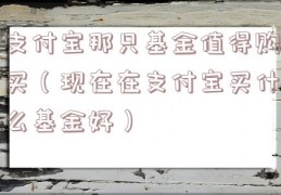 支付宝那只基金值得购买（现在在支付宝买什么基金好）