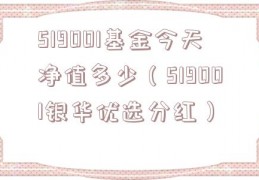 519001基金今天净值多少（519001银华优选分红）