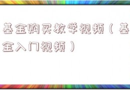 基金购买教学视频（基金入门视频）