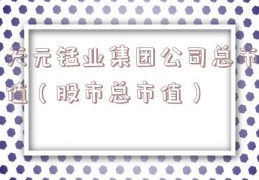 天元锰业集团公司总市值（股市总市值）